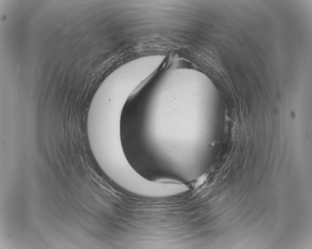 X0000059040233200510281550