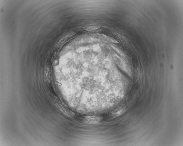 X0000059040234200510281550