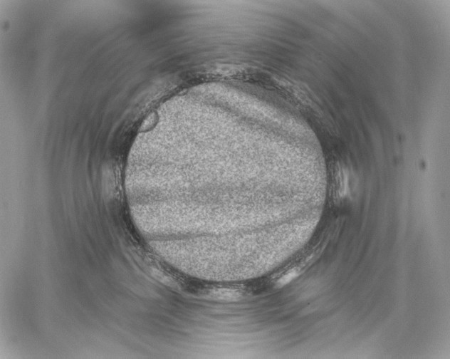 X0000059040236200510281550