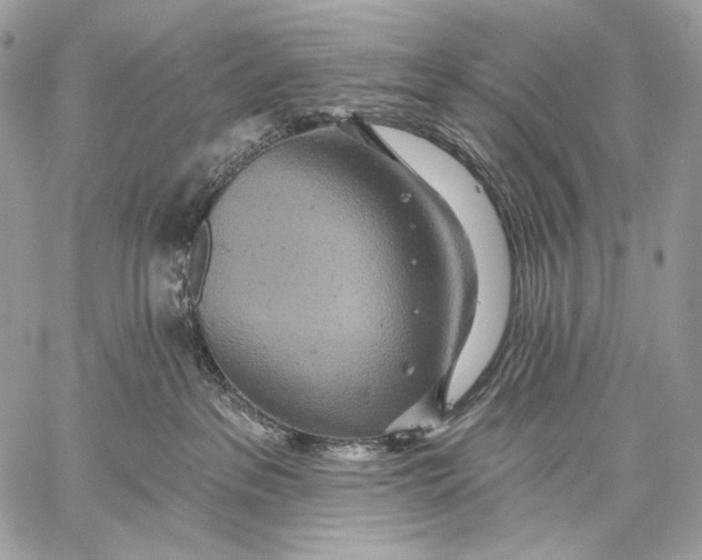 X0000059040237200510281550