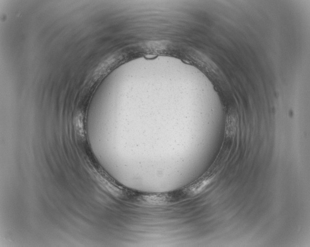 X0000059040238200510281550