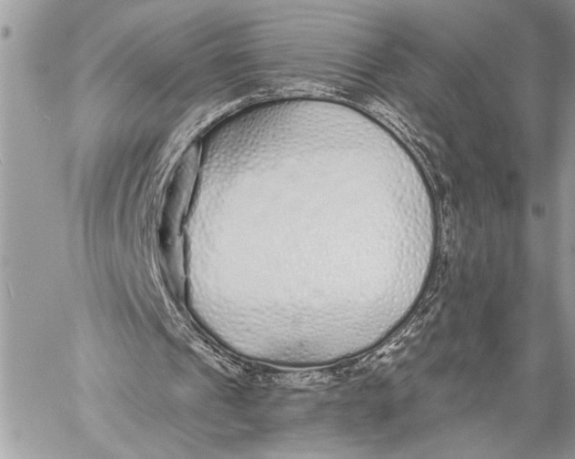 X0000059040241200510281549