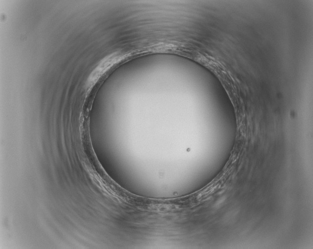 X0000059040242200510281549