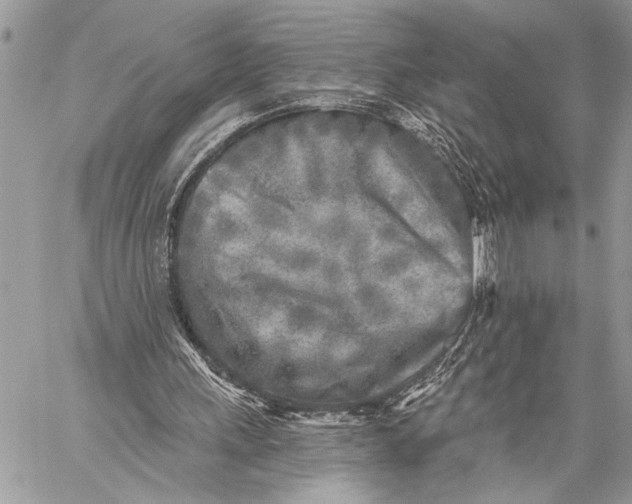 X0000059040243200510281549