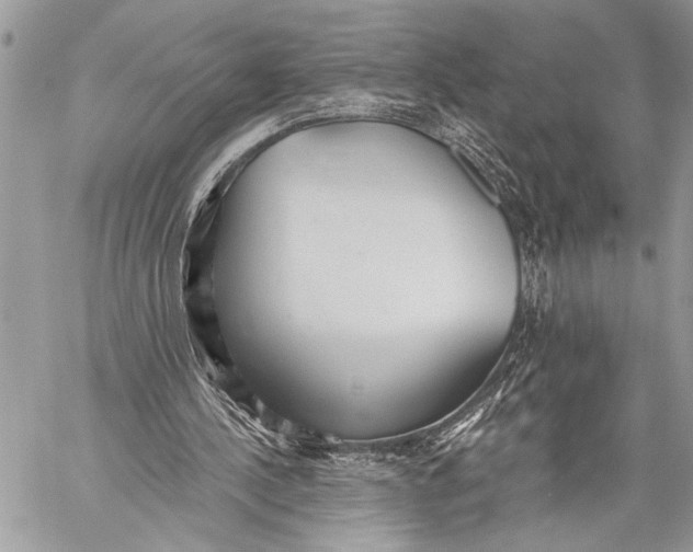 X0000059040244200510281549