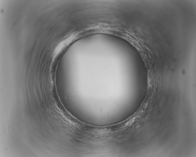 X0000059040245200510281549