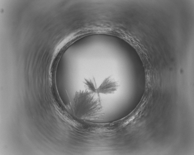 X0000059040246200510281549