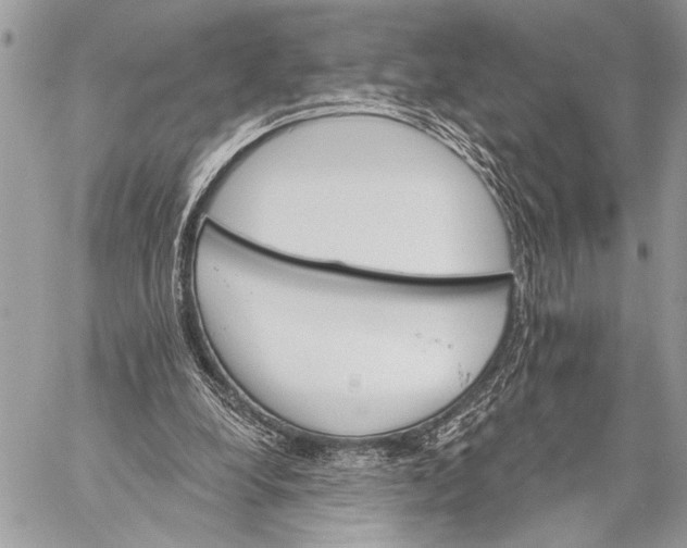 X0000059040248200510281549