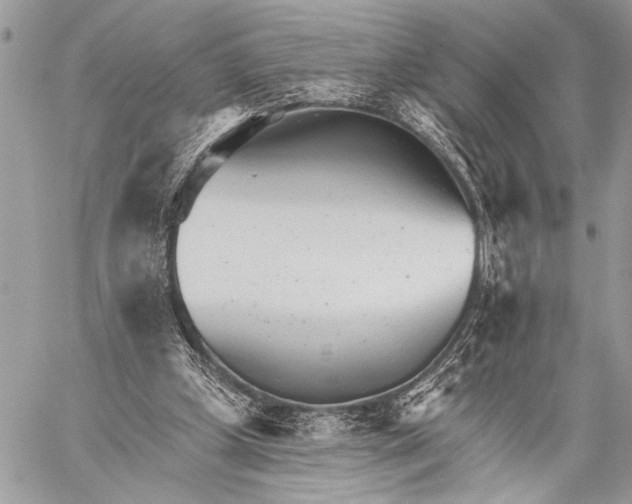 X0000059040249200510281549