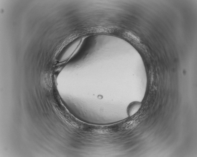 X0000059040250200510281549