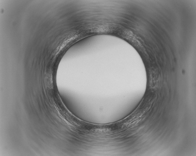 X0000059040251200510281549