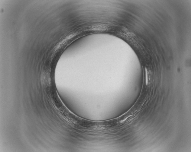 X0000059040252200510281549