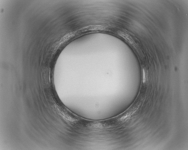 X0000059040253200510281549