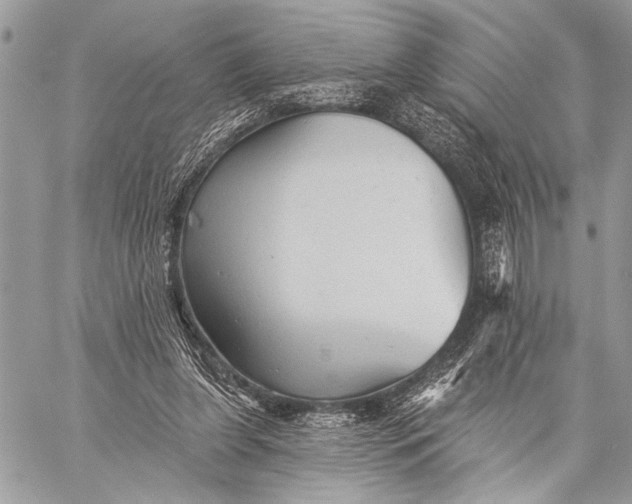 X0000059040255200510281549