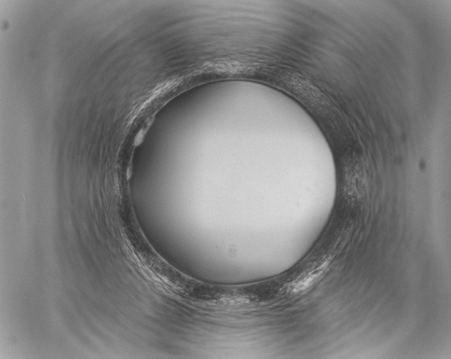 X0000059040256200510281549