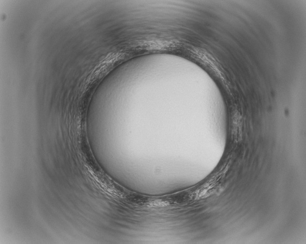 X0000059040257200510281549