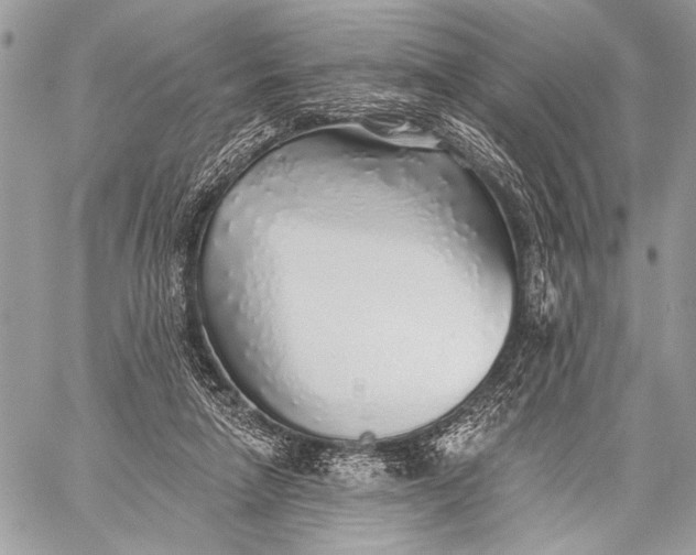 X0000059040258200510281549