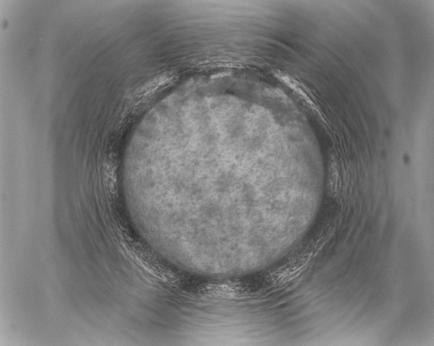 X0000059040259200510281549