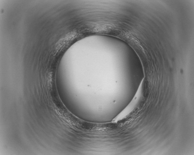 X0000059040260200510281549