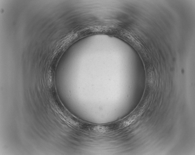 X0000059040261200510281549