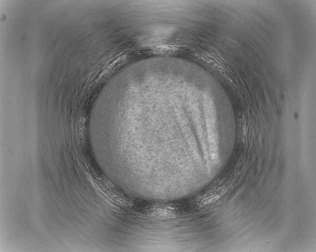 X0000059040263200510281549