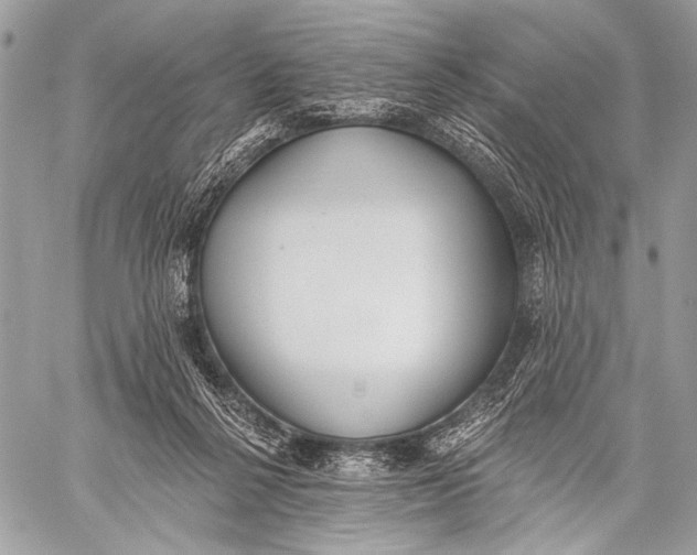 X0000059040264200510281549