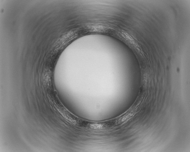 X0000059040265200510281549