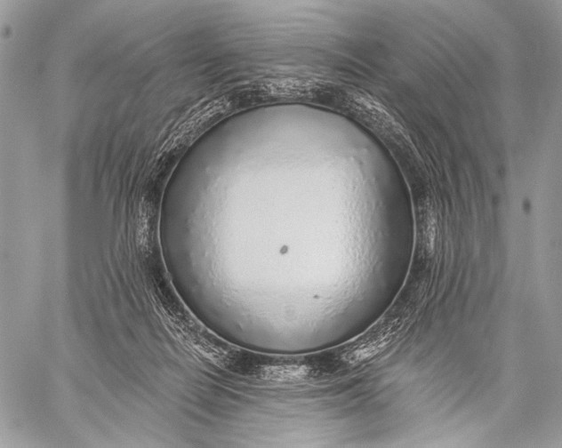 X0000059040266200510281549