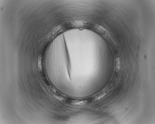 X0000059040267200510281549