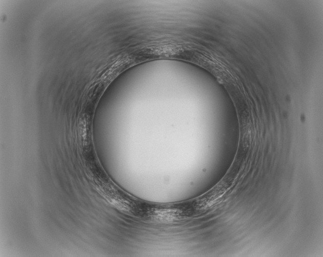 X0000059040268200510281549