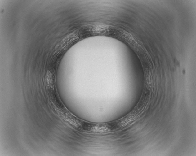 X0000059040270200510281550