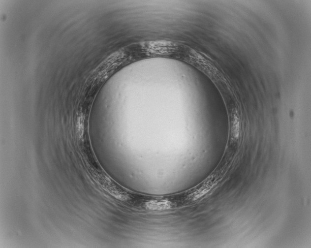 X0000059040271200510281550