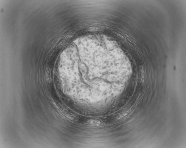 X0000059040272200510281550