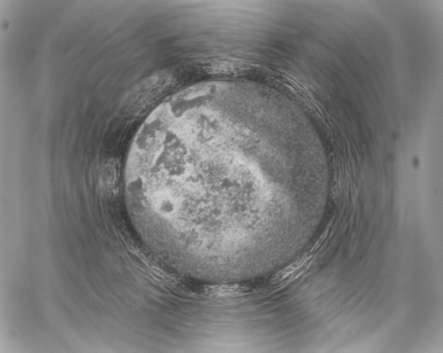 X0000059040273200510281550