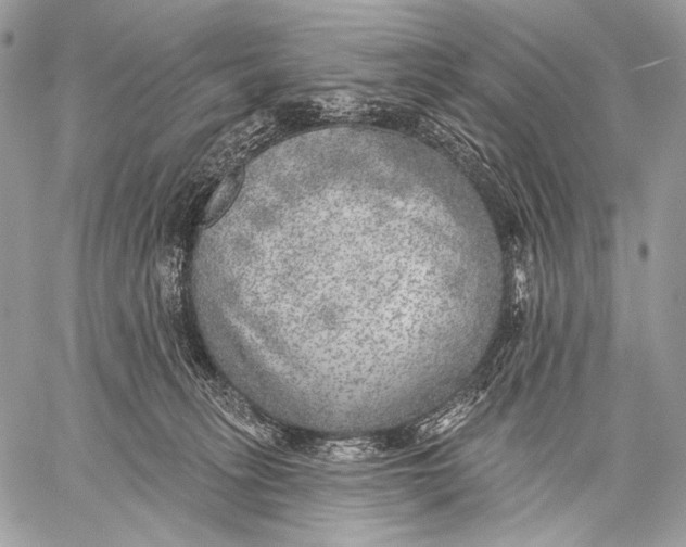 X0000059040275200510281550