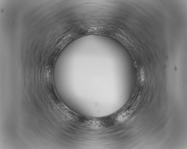 X0000059040276200510281550