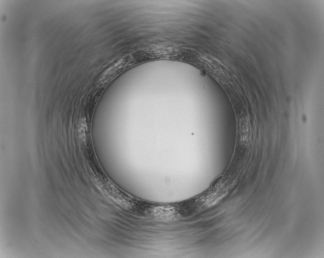 X0000059040279200510281550