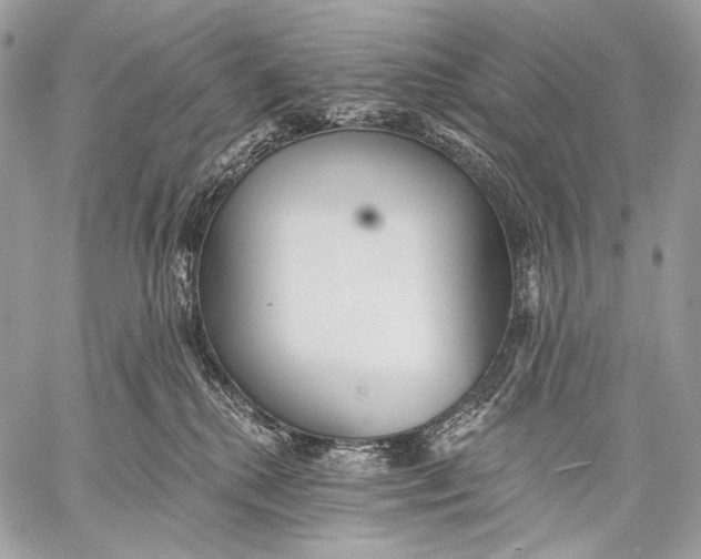 X0000059040280200510281550