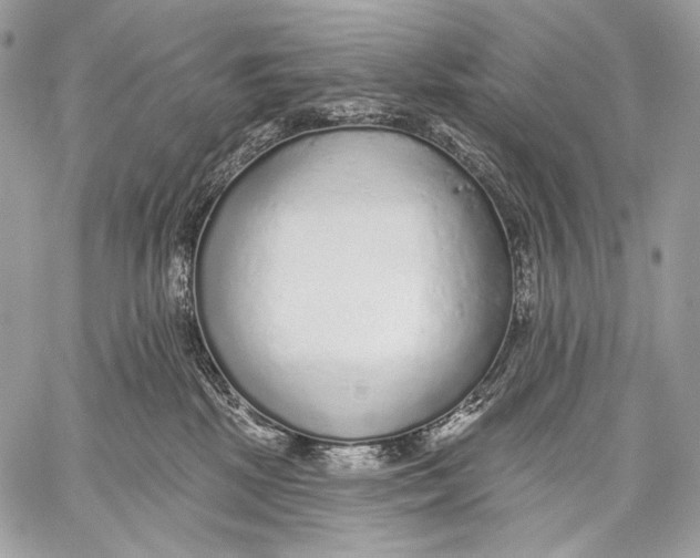 X0000059040281200510281550