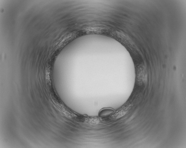 X0000059040282200510281550