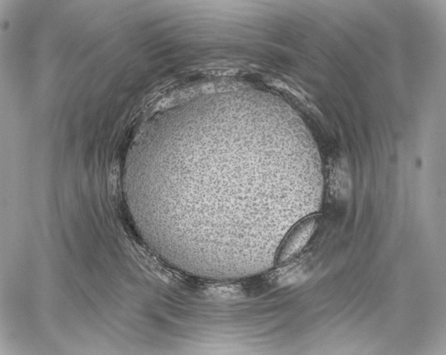 X0000059040283200510281550