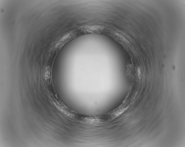 X0000059040284200510281550