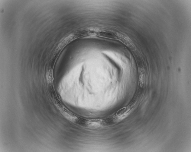 X0000059040285200510281550