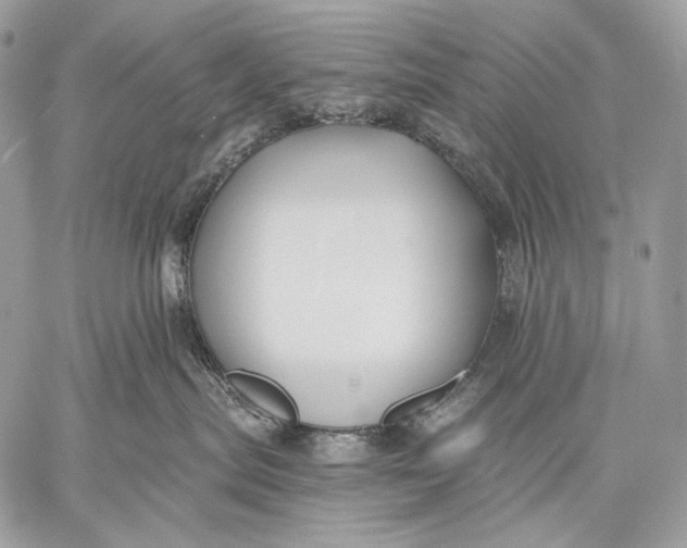 X0000059040287200510281550