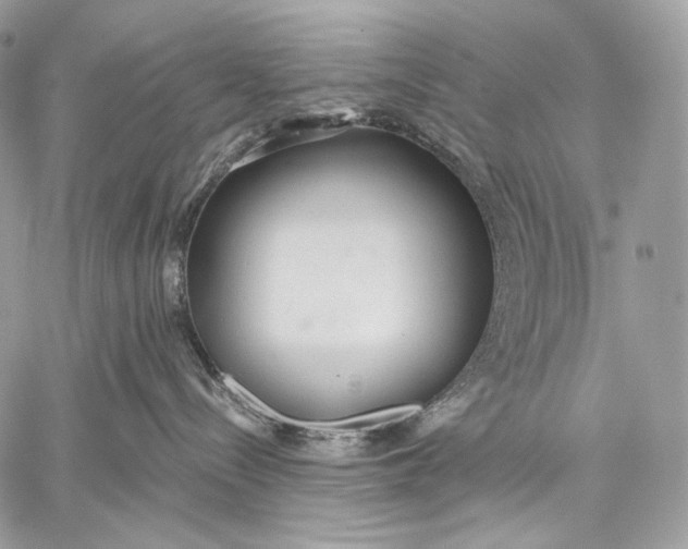 X0000059040288200510281550