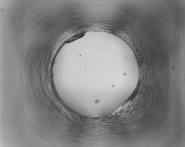 X0000059040289200510281549