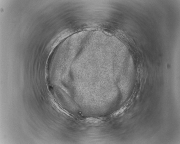 X0000059040290200510281549