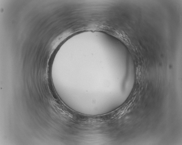 X0000059040292200510281549