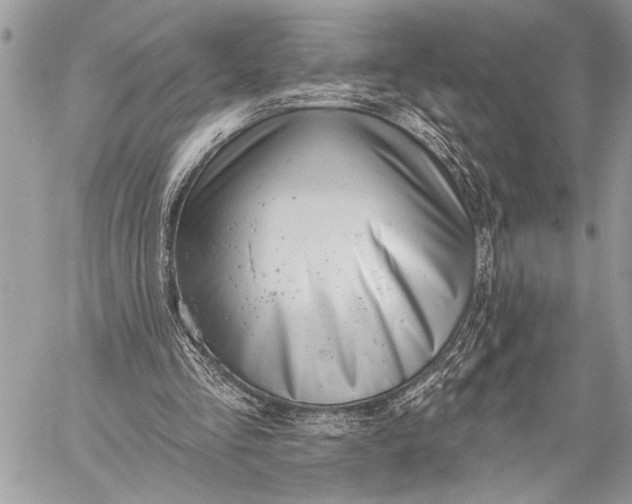 X0000059040293200510281549