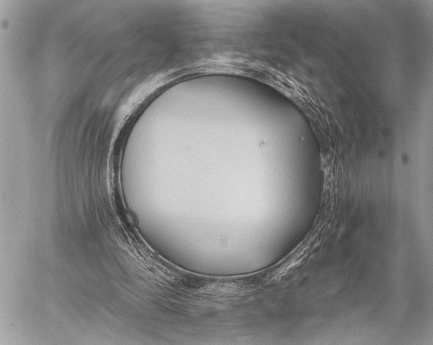 X0000059040294200510281549